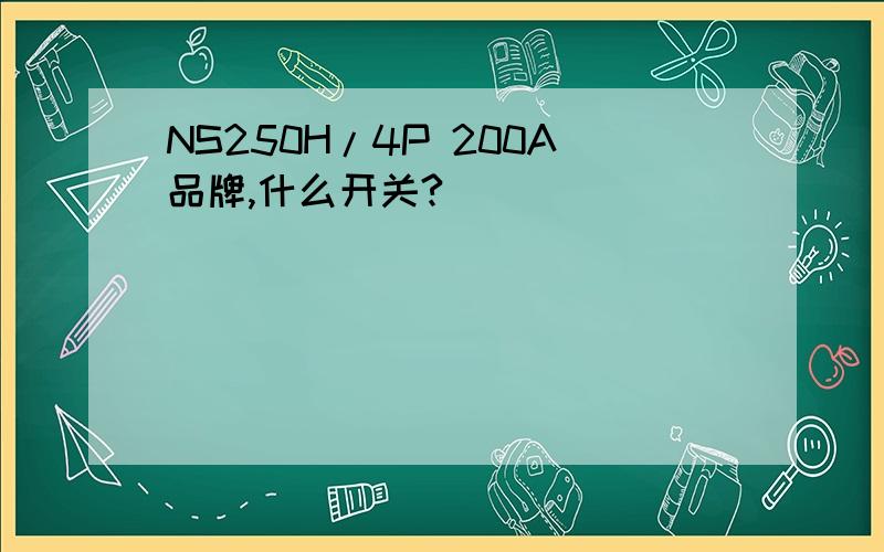 NS250H/4P 200A品牌,什么开关?