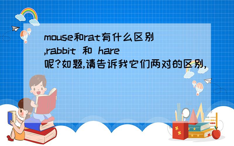mouse和rat有什么区别,rabbit 和 hare呢?如题,请告诉我它们两对的区别,