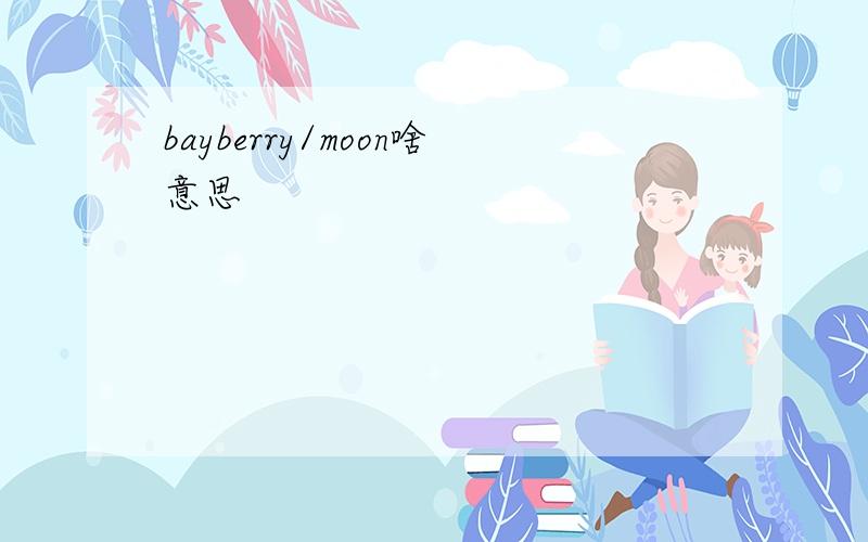 bayberry/moon啥意思