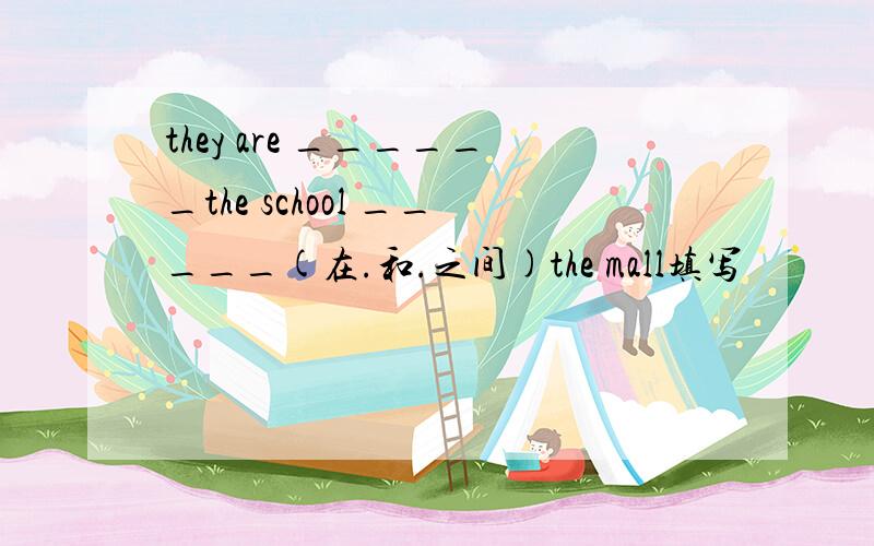 they are ______the school _____(在.和.之间)the mall填写