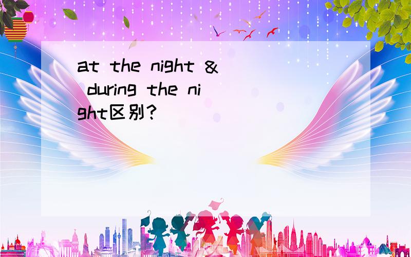 at the night & during the night区别?