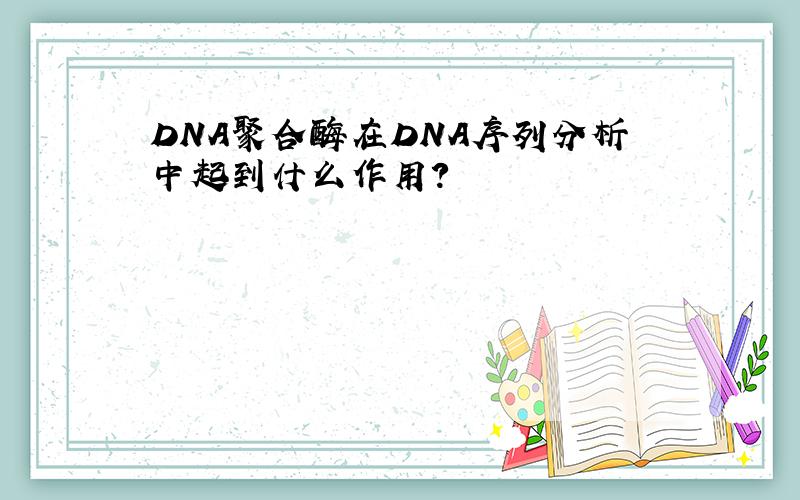 DNA聚合酶在DNA序列分析中起到什么作用?