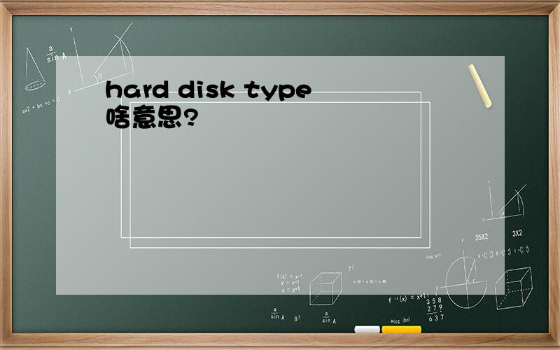 hard disk type啥意思?