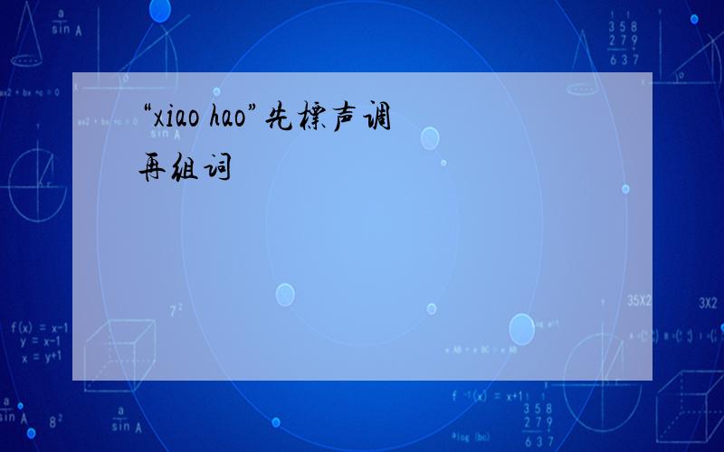 “xiao hao”先标声调再组词