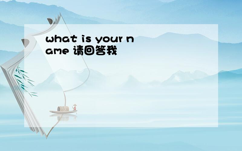 what is your name 请回答我