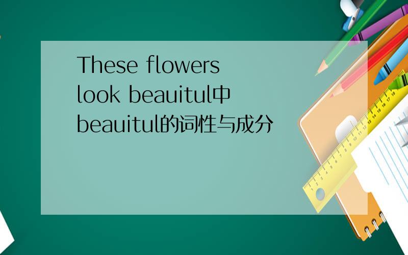 These flowers look beauitul中beauitul的词性与成分