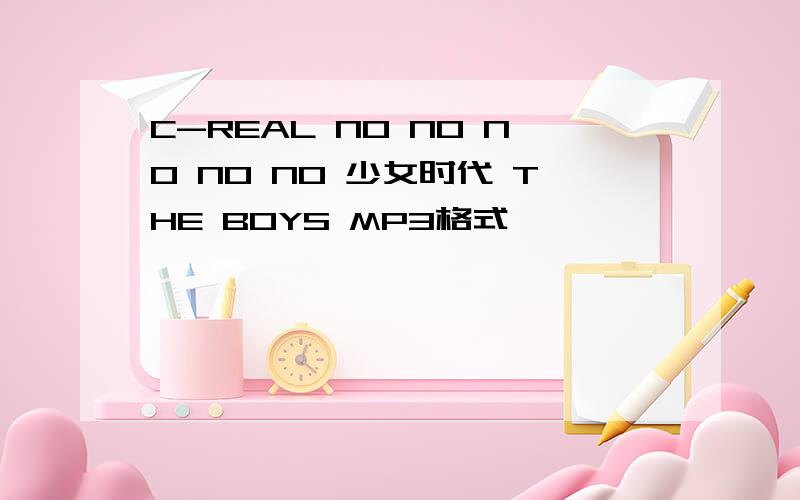 C-REAL NO NO NO NO NO 少女时代 THE BOYS MP3格式