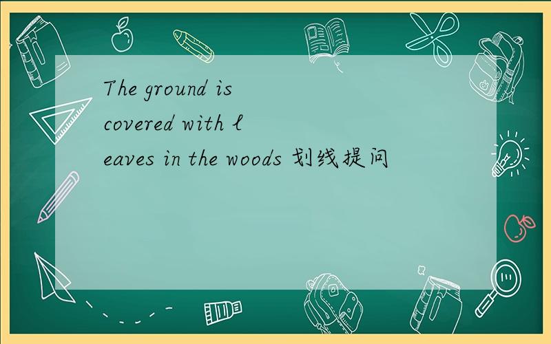 The ground is covered with leaves in the woods 划线提问