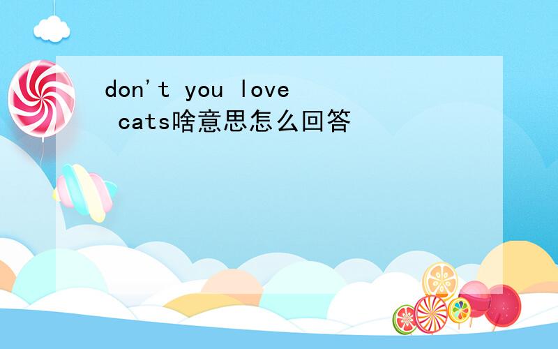 don't you love cats啥意思怎么回答