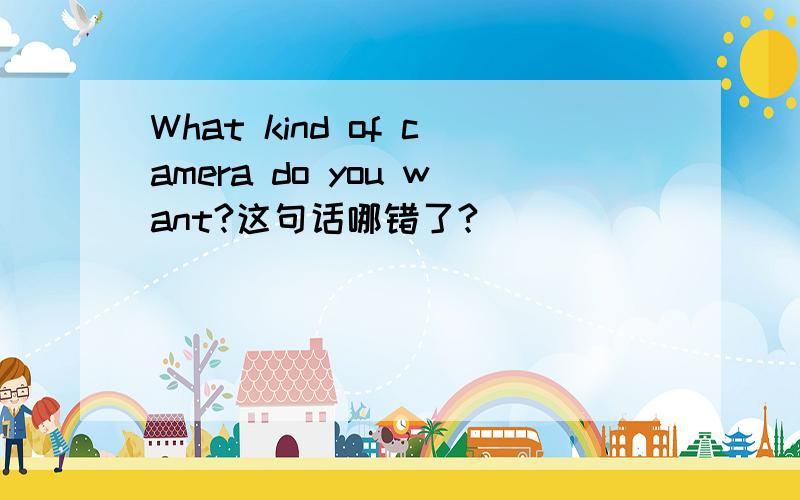 What kind of camera do you want?这句话哪错了?