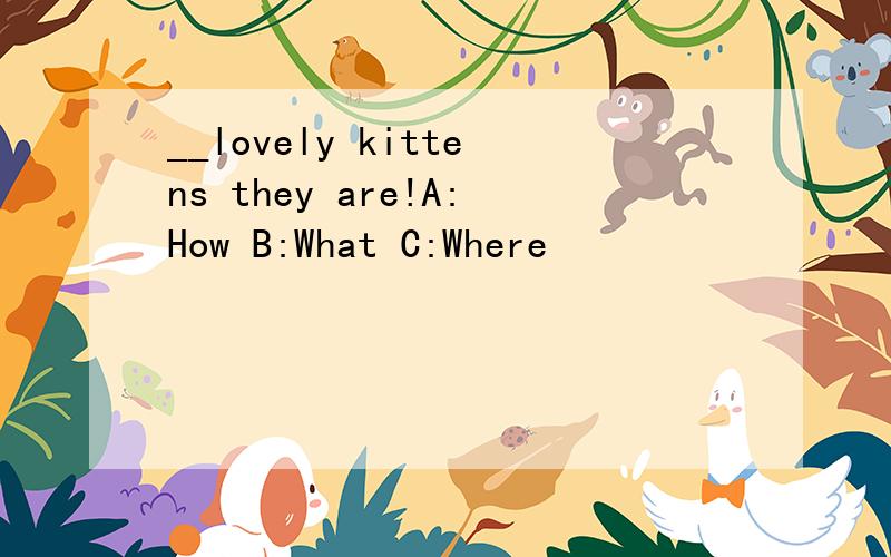 __lovely kittens they are!A:How B:What C:Where