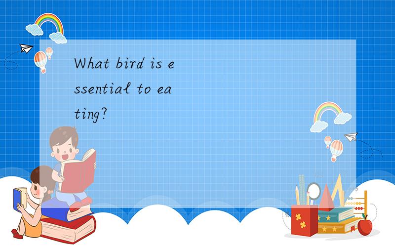 What bird is essential to eating?