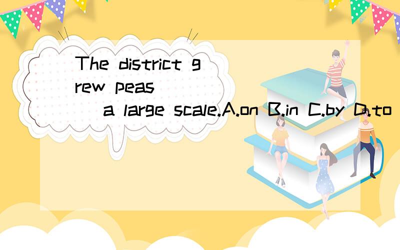 The district grew peas ______ a large scale.A.on B.in C.by D.to