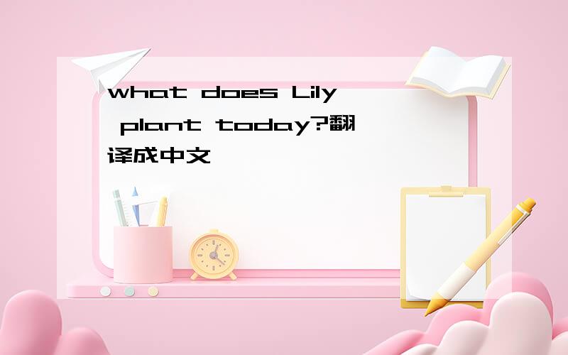 what does Lily plant today?翻译成中文