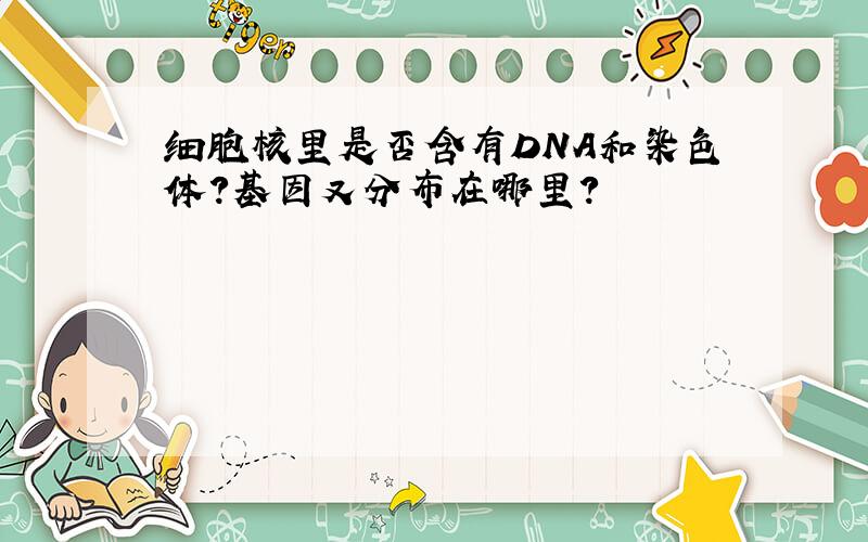 细胞核里是否含有DNA和染色体?基因又分布在哪里?