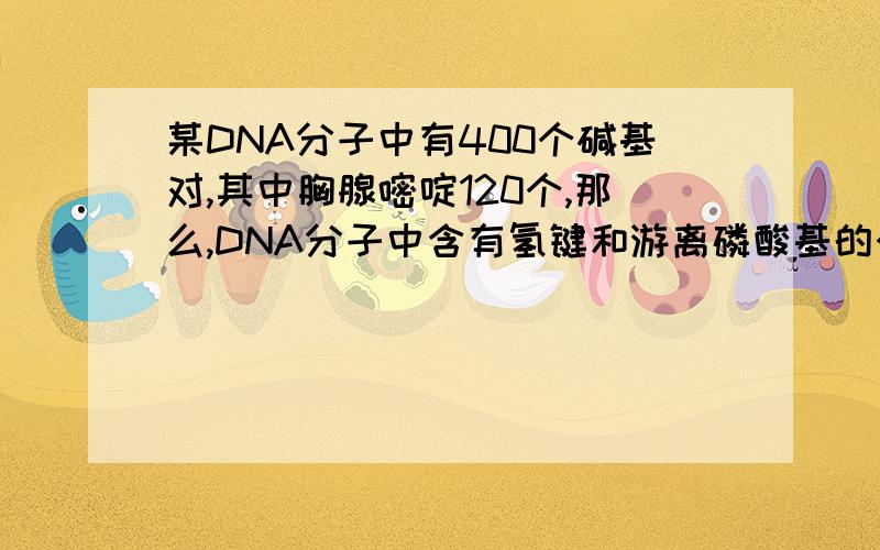 某DNA分子中有400个碱基对,其中胸腺嘧啶120个,那么,DNA分子中含有氢键和游离磷酸基的个数分别为（    D   ）?A.400个和2个；B.400个和4个；C.920个和4个；D.1080个和2个    为什么选D     详细点