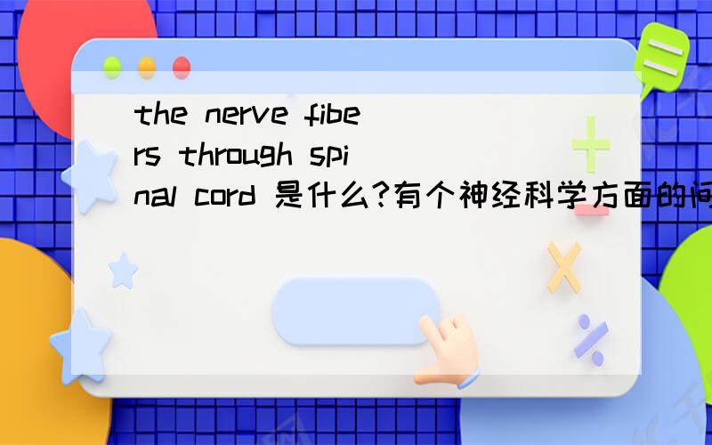 the nerve fibers through spinal cord 是什么?有个神经科学方面的问题想要寻求帮助~the nerve fibers through spinal cord 指的到底是什么呢?是31对脊神经,还是白质中的纤维束,或是别的什么?>////