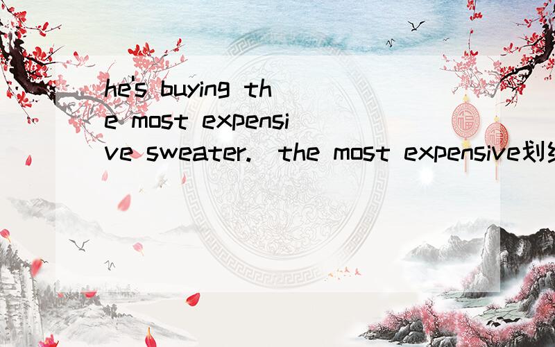 he's buying the most expensive sweater.(the most expensive划线）