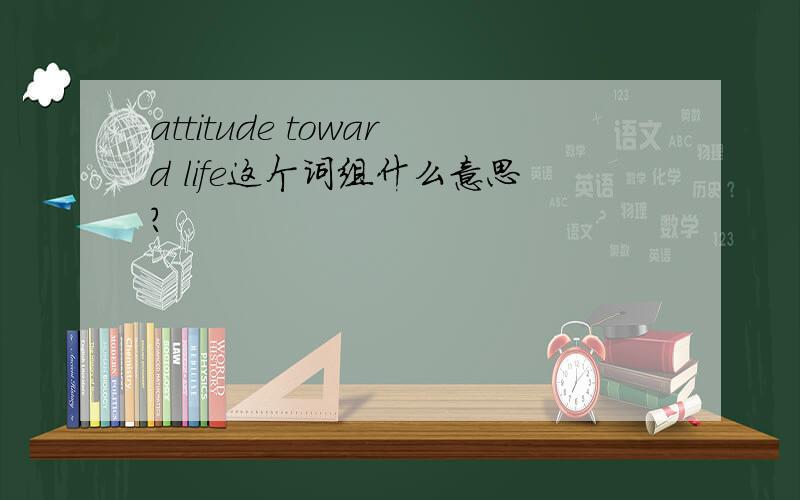 attitude toward life这个词组什么意思?