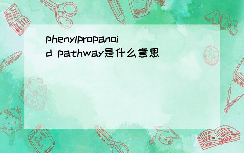 phenylpropanoid pathway是什么意思