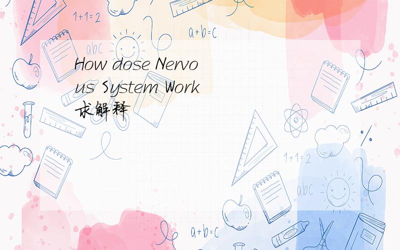 How dose Nervous System Work求解释
