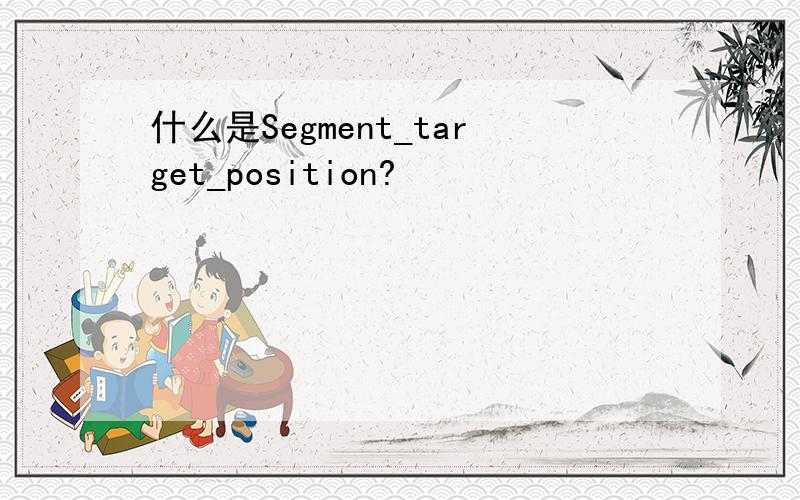什么是Segment_target_position?