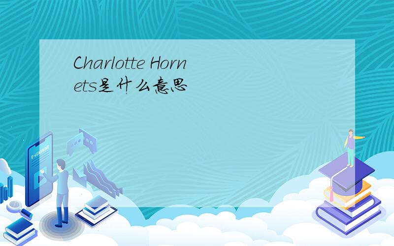 Charlotte Hornets是什么意思