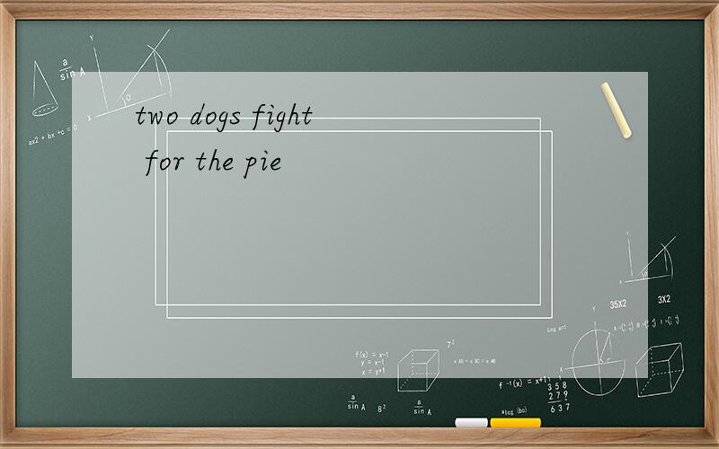 two dogs fight for the pie