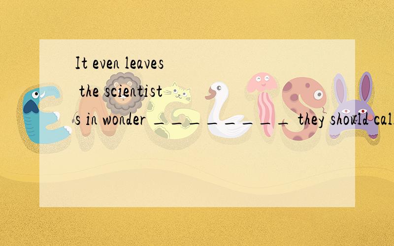 It even leaves the scientists in wonder ________ they should call the newly-born creature, which look half-human and half-animal. [ ] A. that B. why C. what D. how