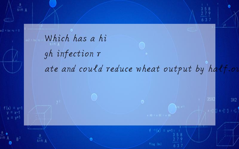 Which has a high infection rate and could reduce wheat output by half.output by half