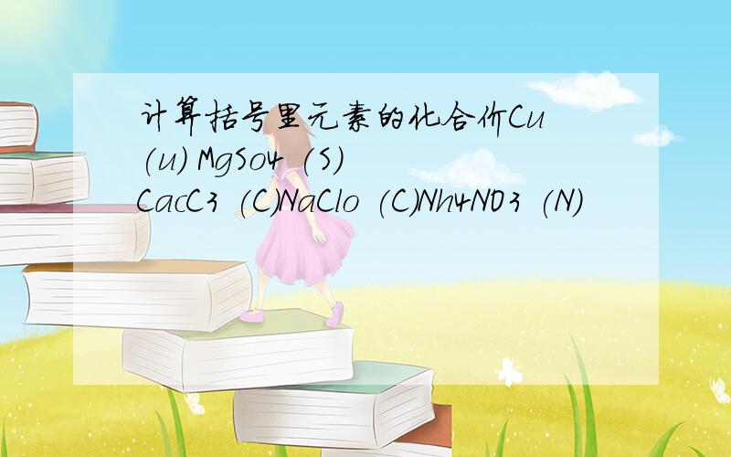 计算括号里元素的化合价Cu (u) MgSo4 (S) CacC3 (C)NaClo (C)Nh4NO3 (N)