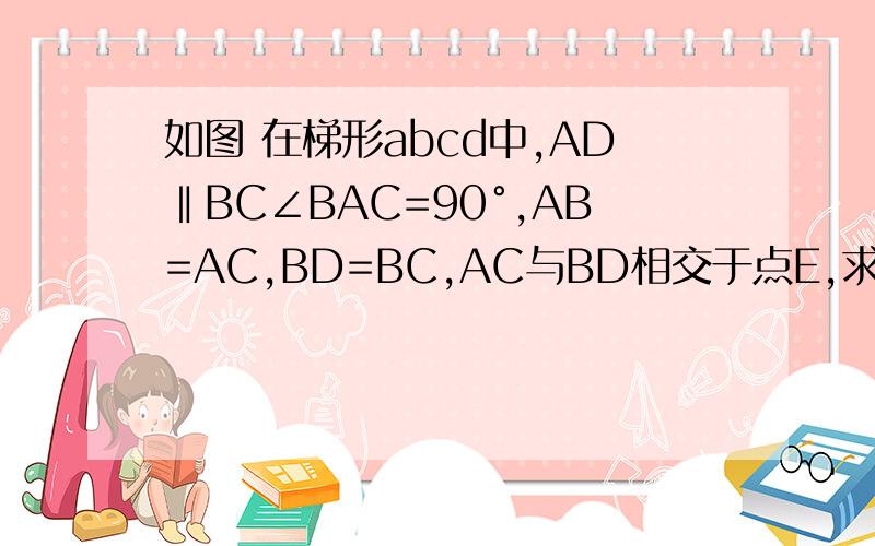 如图 在梯形abcd中,AD‖BC∠BAC=90°,AB=AC,BD=BC,AC与BD相交于点E,求∠DCE的度数