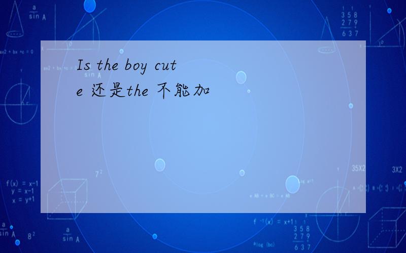 Is the boy cute 还是the 不能加