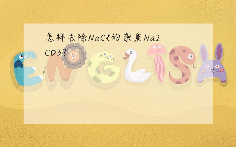 怎样去除NaCl的杂质Na2CO3?