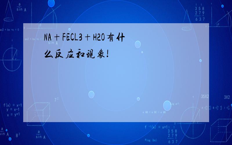 NA+FECL3+H2O有什么反应和现象!