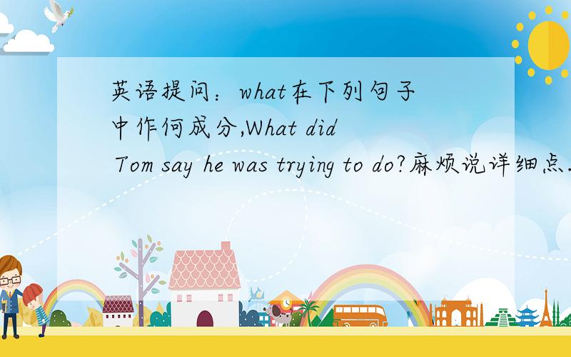 英语提问：what在下列句子中作何成分,What did Tom say he was trying to do?麻烦说详细点.