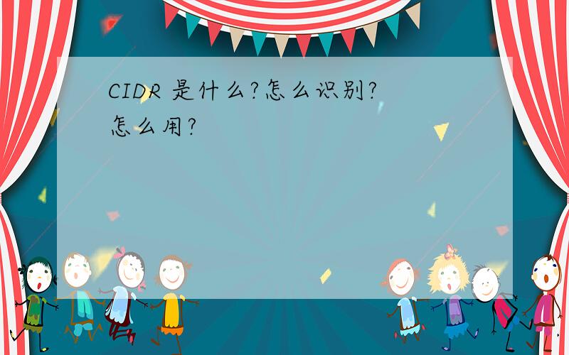 CIDR 是什么?怎么识别?怎么用?
