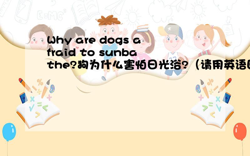 Why are dogs afraid to sunbathe?狗为什么害怕日光浴?（请用英语回答）