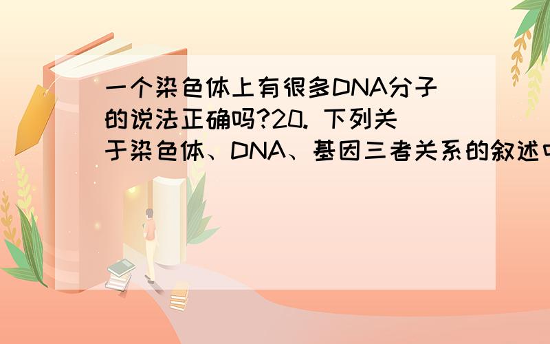 一个染色体上有很多DNA分子的说法正确吗?20. 下列关于染色体、DNA、基因三者关系的叙述中,不正确的是A．DNA主要在染色体上              B．基因在DNA分子上  C．一个染色体上有很多个DNA分子
