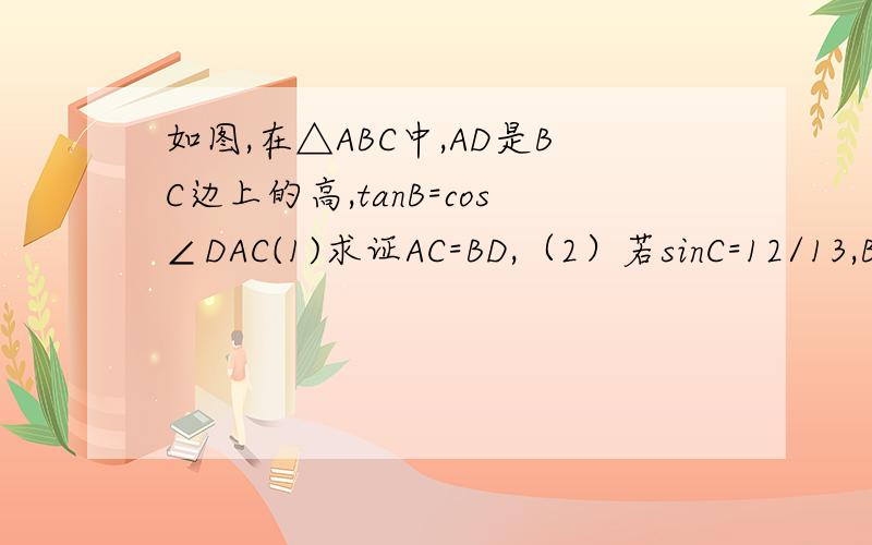 如图,在△ABC中,AD是BC边上的高,tanB=cos∠DAC(1)求证AC=BD,（2）若sinC=12/13,BC=12,求AD的长