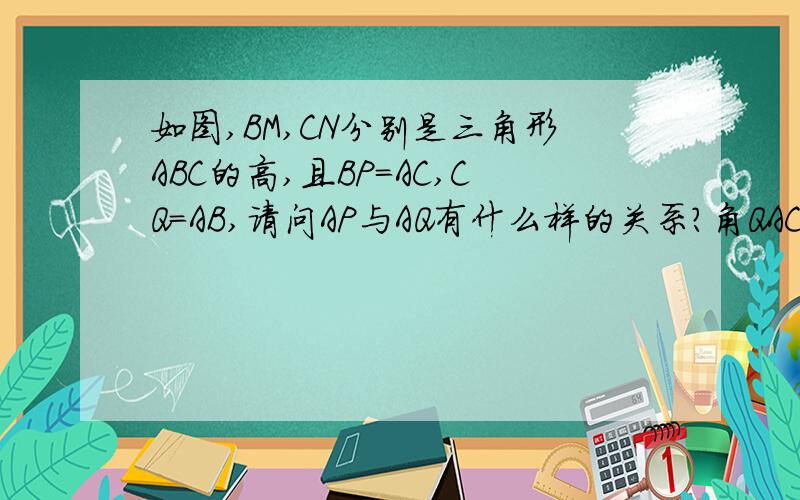 如图,BM,CN分别是三角形ABC的高,且BP＝AC,CQ＝AB,请问AP与AQ有什么样的关系?角QAC和角APB有什么样的关系?请说明理由