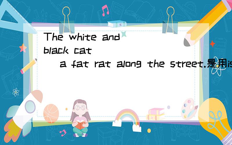 The white and black cat _____ a fat rat along the street.是用is after 还是is catching 谢=3=