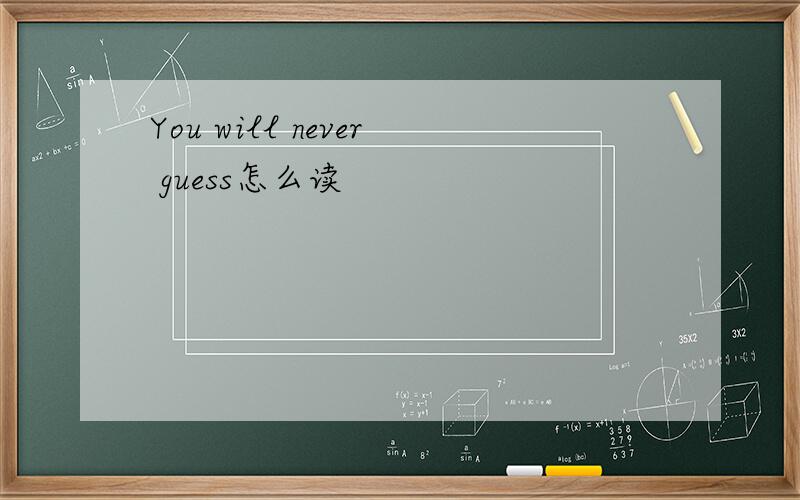 You will never guess怎么读