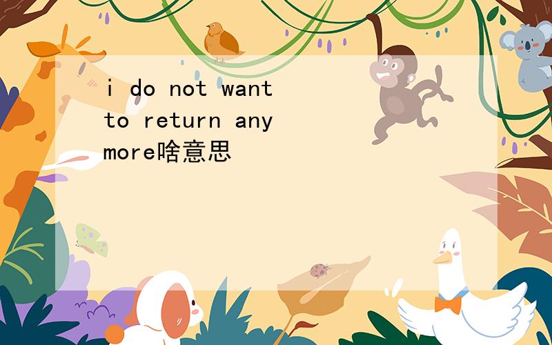 i do not want to return any more啥意思