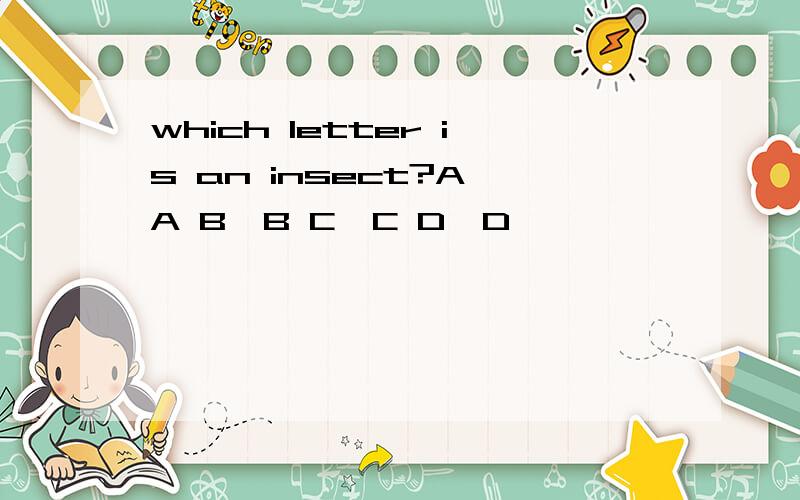 which letter is an insect?A,A B,B C,C D,D