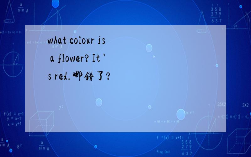 what colour is a flower?It 's red.哪错了?