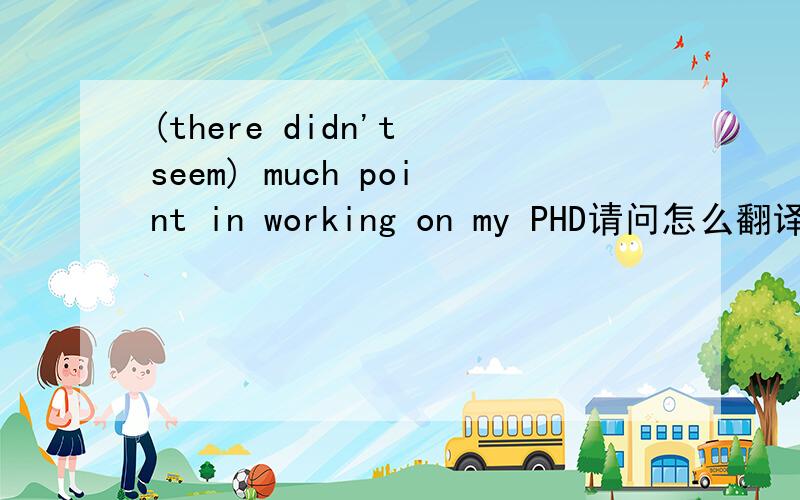 (there didn't seem) much point in working on my PHD请问怎么翻译?