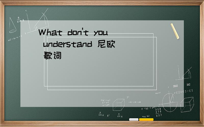 What don't you understand 尼欧 歌词
