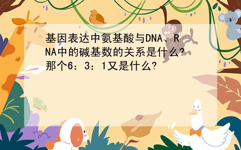 基因表达中氨基酸与DNA、RNA中的碱基数的关系是什么?那个6：3：1又是什么?