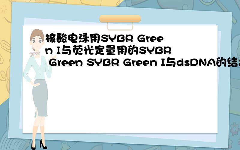 核酸电泳用SYBR Green I与荧光定量用的SYBR Green SYBR Green I与dsDNA的结合受M13ssDNA、dNTP、M13R的影响吗?